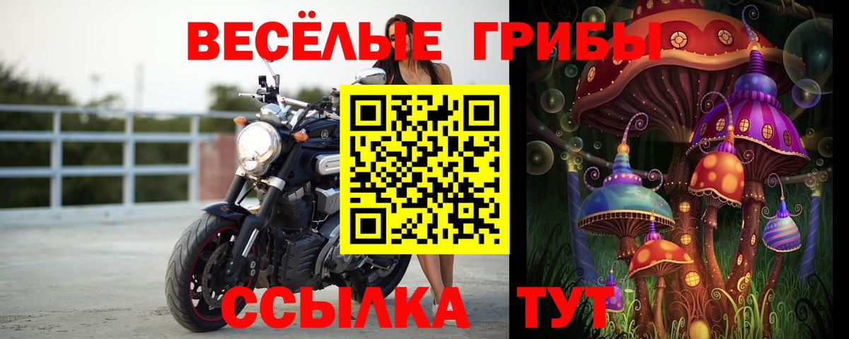 Псилоцибиновые грибы Psilocybine cubensis  Вход с VPN  Псилоцибиновые грибы GOLDEN TEACHER  Нижневартовск 